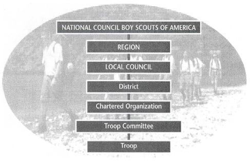 Boy Scout Hierarchy Chart